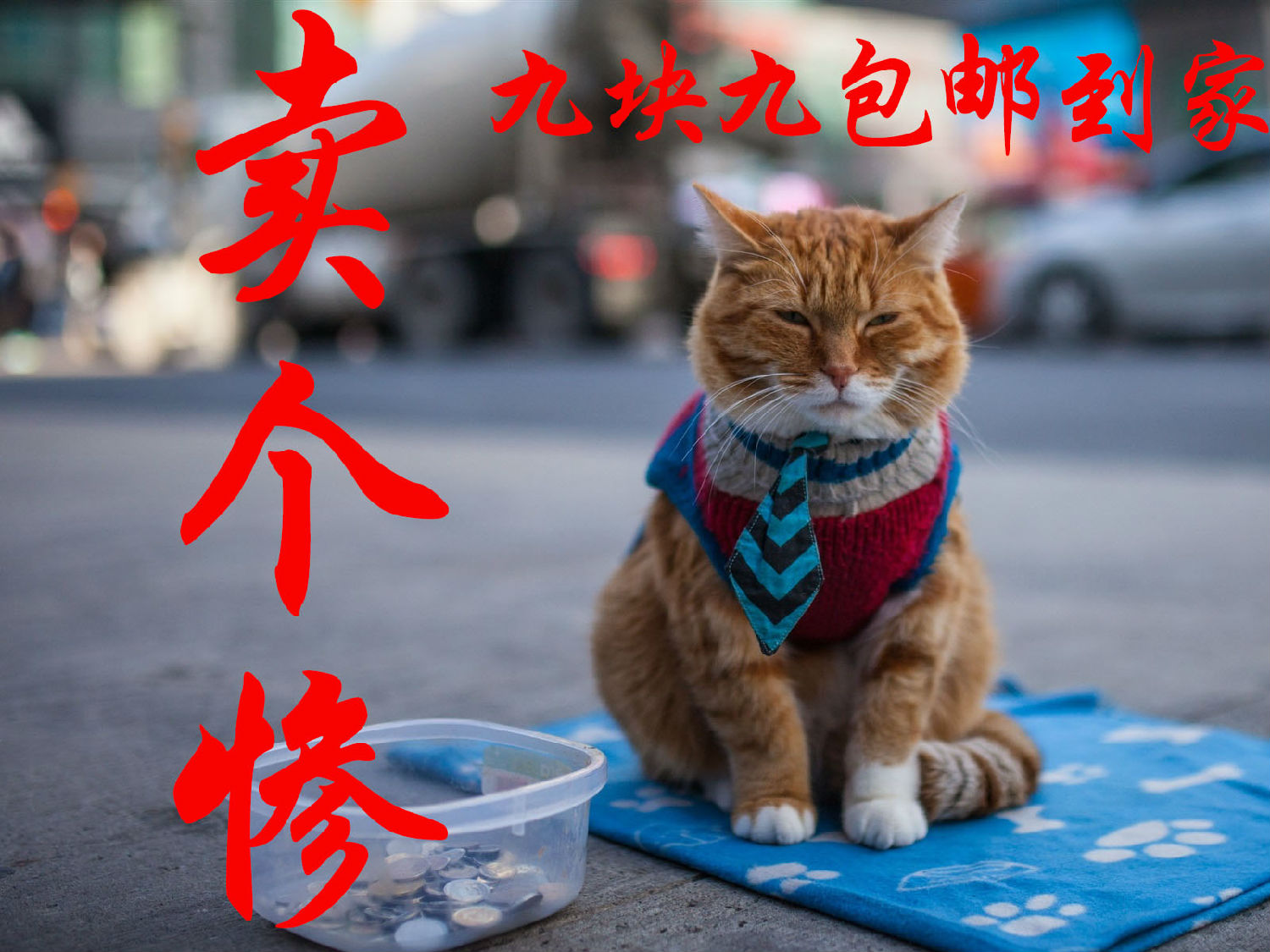 賣慘.jpg 賣慘.jpg