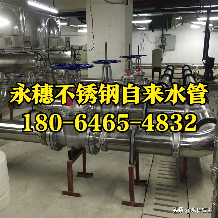 茄子视频污在线品牌茄子在线视频APP水管.png